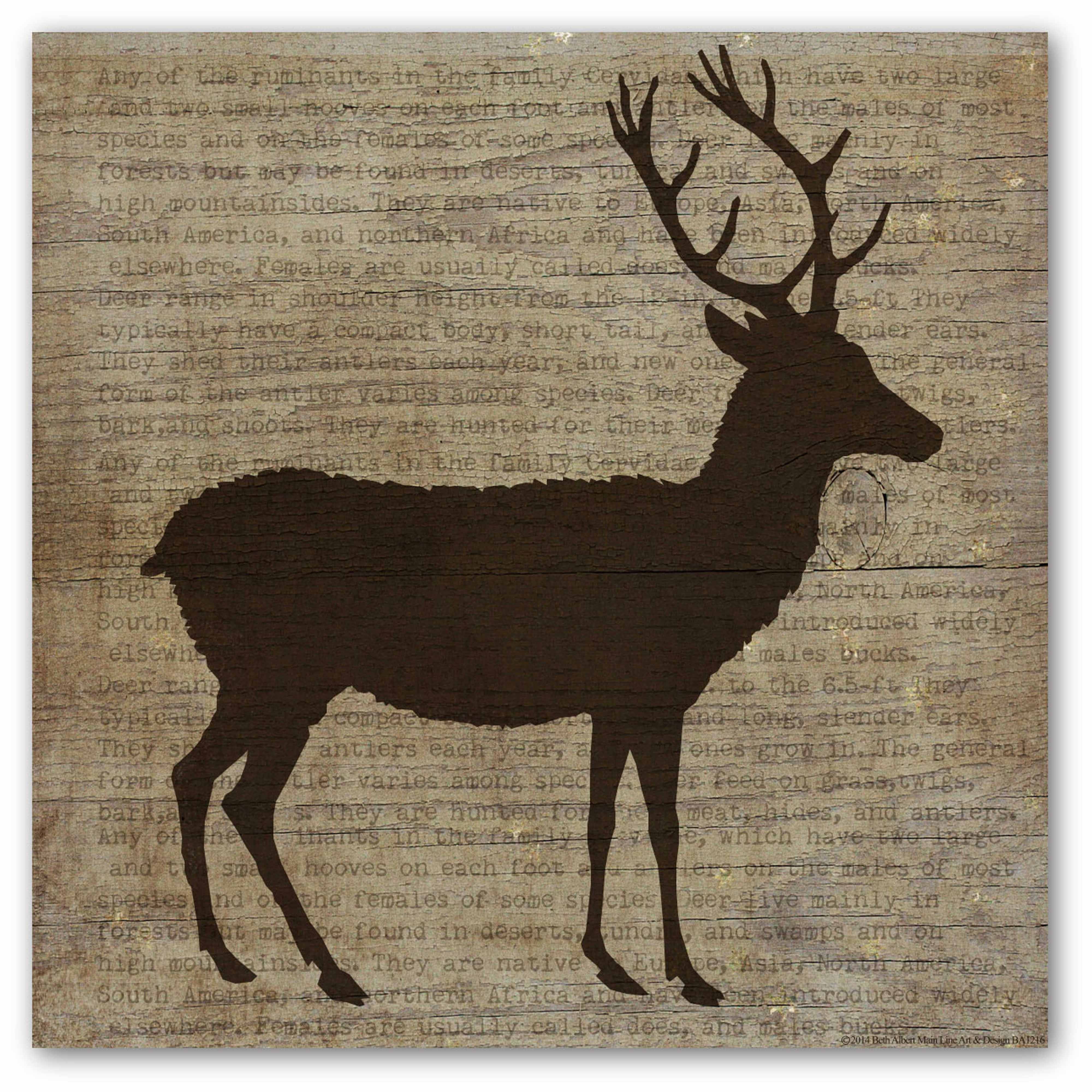 Brown Buck Gallery-Wrapped Canvas Wall Art, 16x16