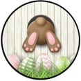 thumbnail image 1 of Brown Bunny Bottom and Easter Eggs Round Area Rug 3Ft Small Round Area Rug Soft Bedroom Entryway Foyer Throw Mat Washable Non-Shedding Non-Slip Sofa Nursery Carpet, 1 of 5