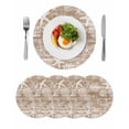 thumbnail image 1 of Brown Coastal Round 13 Inch Placemats Set of 4, Summer Beach Nautical Starfish Coral Vintage HeatResistant Non Slip Place Mats for Dining Table, Wipeable Braided Kitchen Table Mats for Housewarming, 1 of 9