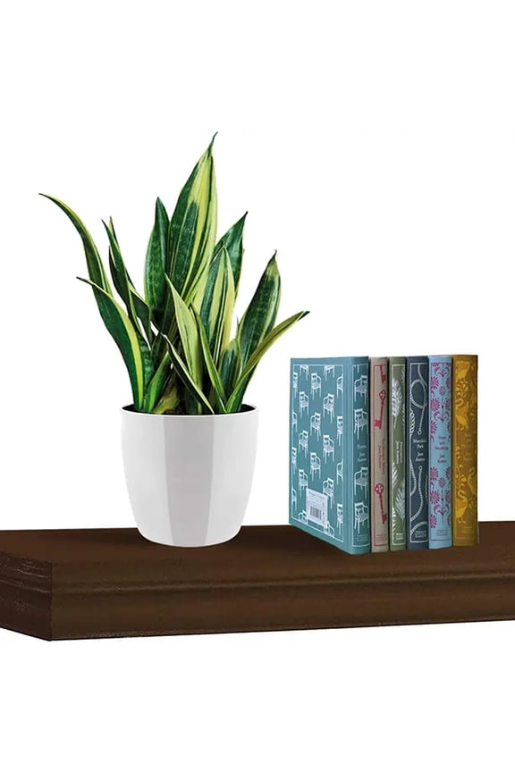 Brown Composite Wood, Wall Mounted, Free Standing Display Shelves for Collectibles