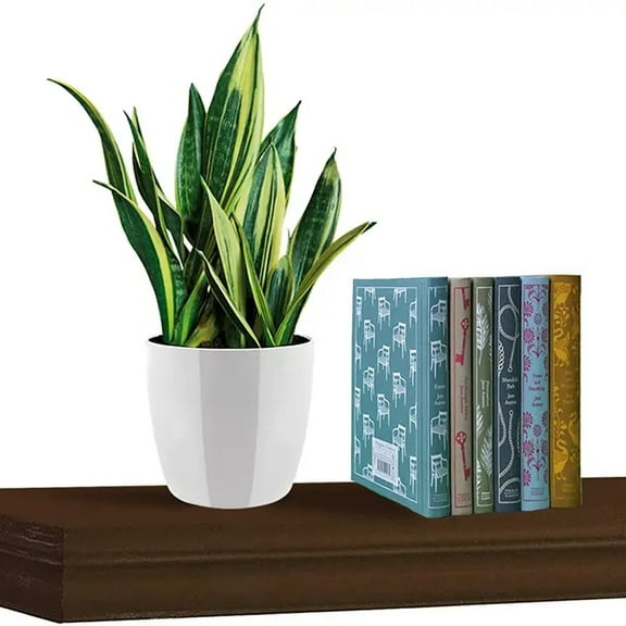 Brown Composite Wood, Wall Mounted, Free Standing Display Shelves for Collectibles