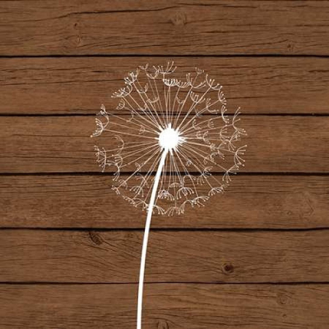 Brown Dandelion I Canvas Art - Tamara Robinson (24 x 24)