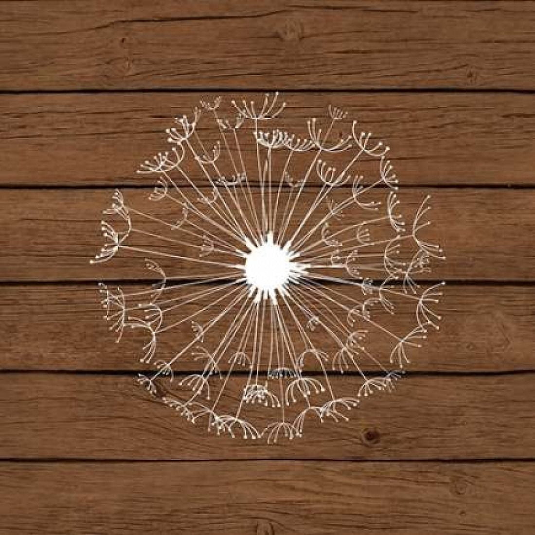 Brown Dandelion II Canvas Art - Tamara Robinson (24 x 24)