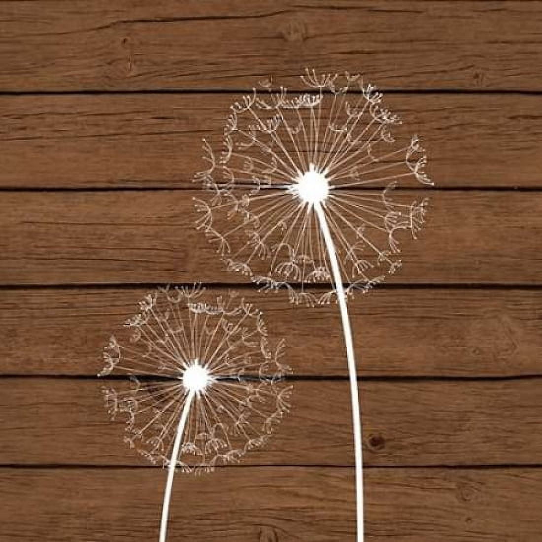 Brown Dandelion III Canvas Art - Tamara Robinson (24 x 24)