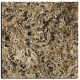 thumbnail image 1 of Brown Decorative Botanical Oak Moss - 2.75 Cups, 1 of 1