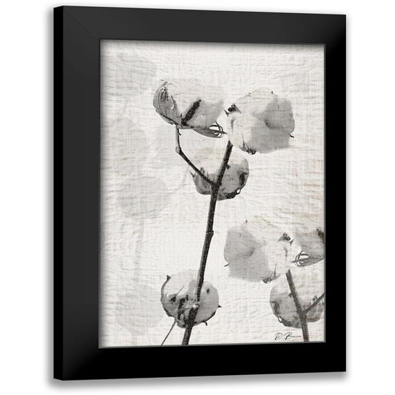 Brown, Denise 11x14 Black Modern Framed Museum Art Print Titled - Cotton Stem 2