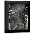 thumbnail image 1 of Brown, Denise 11x14 Black Modern Framed Museum Art Print Titled - Palm Expression 1 V2, 1 of 5