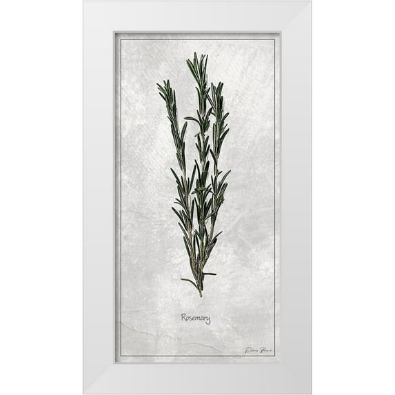 Brown, Denise 11x18 White Modern Wood Framed Museum Art Print Titled - Rosemary 1