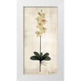 thumbnail image 1 of Brown, Denise 11x18 White Modern Wood Framed Museum Art Print Titled - Stem 3, 1 of 4
