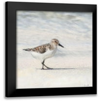 Brown, Denise 12x12 Black Modern Framed Museum Art Print Titled - Eclipsed Sandpiper