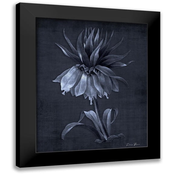 Brown, Denise 12x14 Black Modern Framed Museum Art Print Titled - Botanical Edge 4