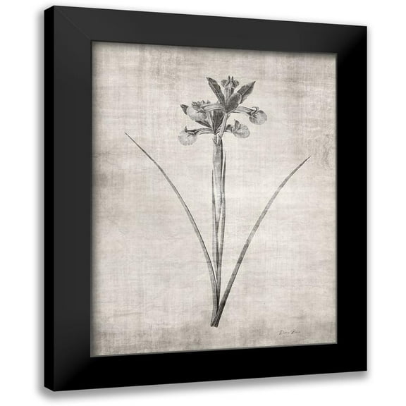 Brown, Denise 12x14 Black Modern Framed Museum Art Print Titled - Sepia Botanical 2