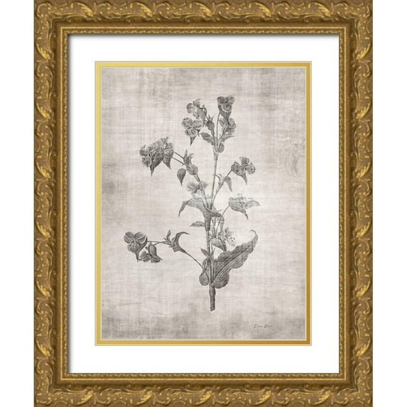 Brown, Denise 12x14 Gold Ornate Wood Framed with Double Matting Museum Art Print Titled - Sepia Botanical 4