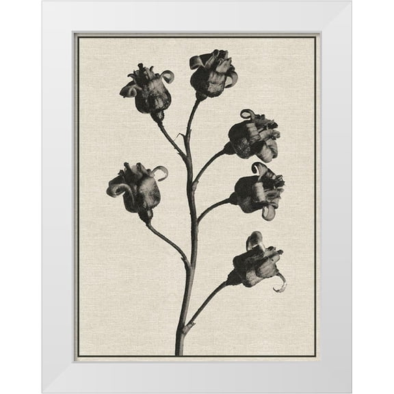 Brown, Denise 12x14 White Modern Wood Framed Museum Art Print Titled - Fern Triptych 2