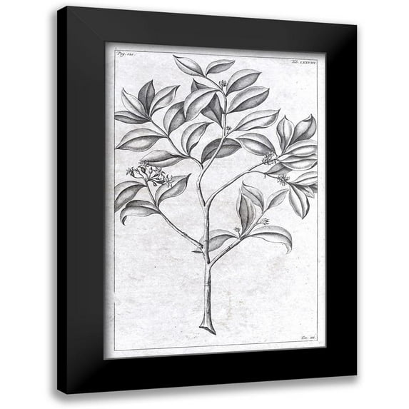 Brown, Denise 13x18 Black Modern Framed Museum Art Print Titled - Palm 1