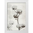 thumbnail image 1 of Brown, Denise 13x18 White Modern Wood Framed Museum Art Print Titled - Cotton Stem 1, 1 of 4