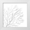 thumbnail image 1 of Brown, Denise 15x15 White Modern Wood Framed Museum Art Print Titled - White Seaweed 2, 1 of 4