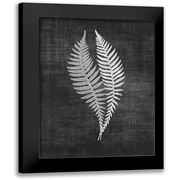 Brown, Denise 15x18 Black Modern Framed Museum Art Print Titled - Astor Fern 2