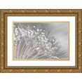 thumbnail image 1 of Brown, Denise 18x13 Gold Ornate Wood Framed with Double Matting Museum Art Print Titled - Dandelion 2, 1 of 4