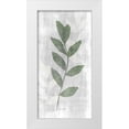 thumbnail image 1 of Brown, Denise 18x32 White Modern Wood Framed Museum Art Print Titled - Stem in Nature 1, 1 of 4
