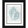thumbnail image 1 of Brown, Denise 19x24 Black Ornate Wood Framed with Double Matting Museum Art Print Titled - Beautiful Shells 2, 1 of 4