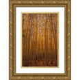 thumbnail image 1 of Brown, Denise 23x32 Gold Ornate Wood Framed with Double Matting Museum Art Print Titled - Peace, 1 of 4