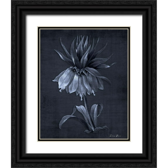 Brown, Denise 26x32 Black Ornate Wood Framed with Double Matting Museum Art Print Titled - Botanical Edge 4