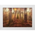 thumbnail image 1 of Brown, Denise 32x23 White Modern Wood Framed Museum Art Print Titled - Sanctuary, 1 of 4