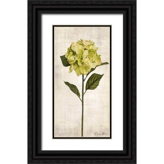 Brown, Denise 9x14 Black Ornate Wood Framed with Double Matting Museum Art Print Titled - Stem 2