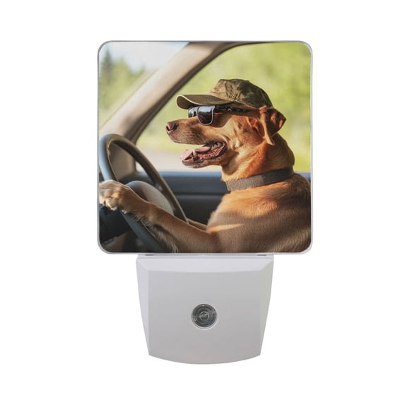 Brown Dog Drive Car LED Night Light with Smart Sensor Plug Into Wall Dusk to Dawn 2 packs