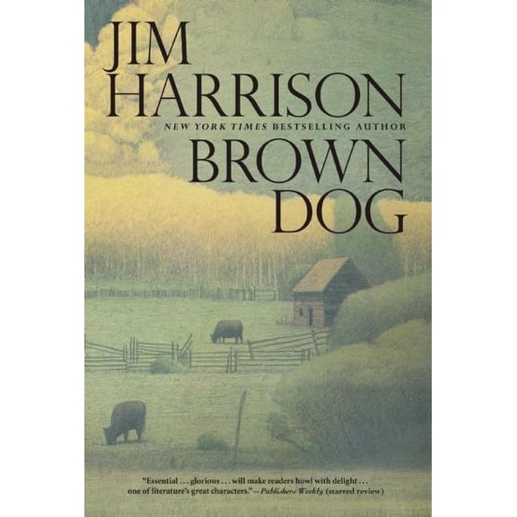 Pre-Owned Brown Dog