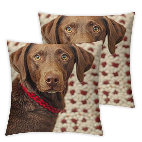 Brown Dog Wool and Pillow,