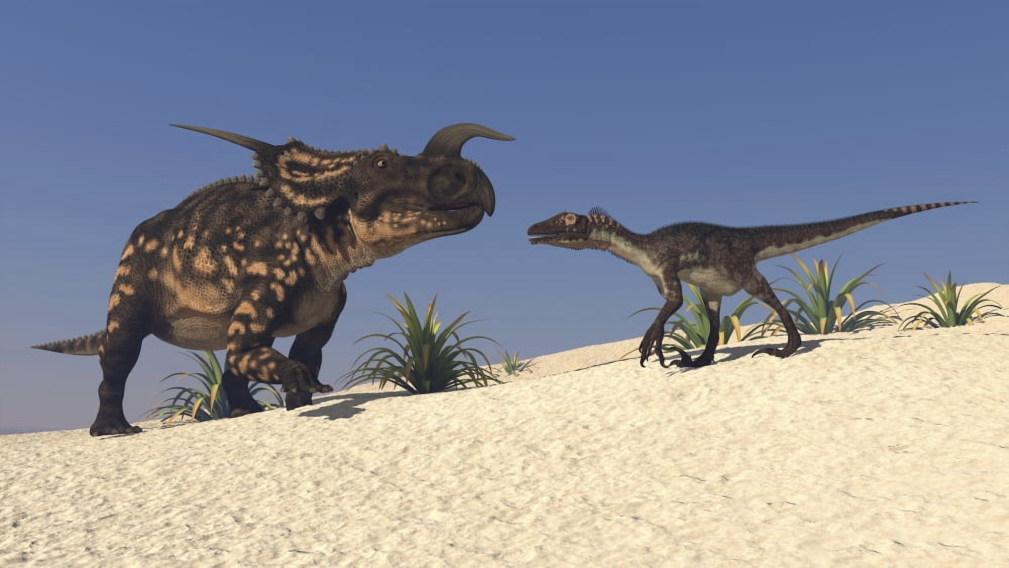 Brown Einiosaurus and a Utahraptor confront each other face-to-face Canvas Art - Kostyantyn IvanyshenStocktrek Images (19 x 11)