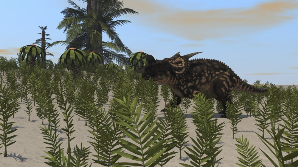 Brown Einiosaurus grazing a desert environment Canvas Art - Kostyantyn IvanyshenStocktrek Images (19 x 11)