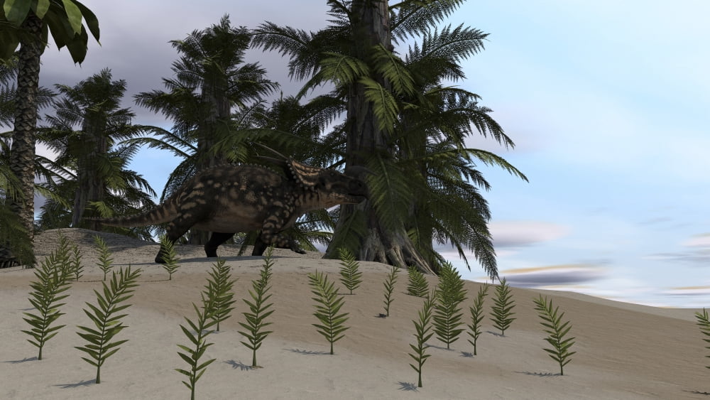 Brown Einiosaurus grazing a desert environment Canvas Art - Kostyantyn IvanyshenStocktrek Images (19 x 11)