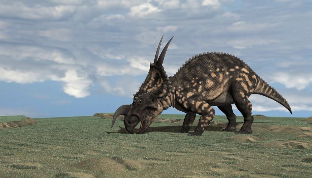Brown Einiosaurus grazing an open field Canvas Art - Kostyantyn IvanyshenStocktrek Images (38 x 22)