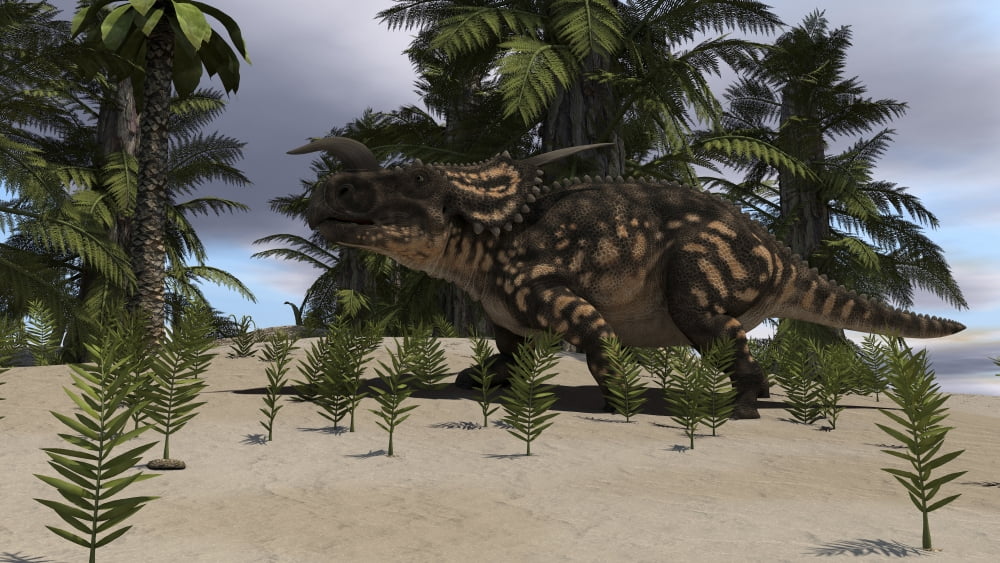 Brown Einiosaurus grazing in a prehistoric environment Canvas Art - Kostyantyn IvanyshenStocktrek Images (38 x 22)