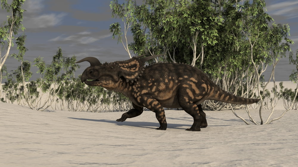 Brown Einiosaurus in a desert environment Canvas Art - Kostyantyn IvanyshenStocktrek Images (19 x 11)