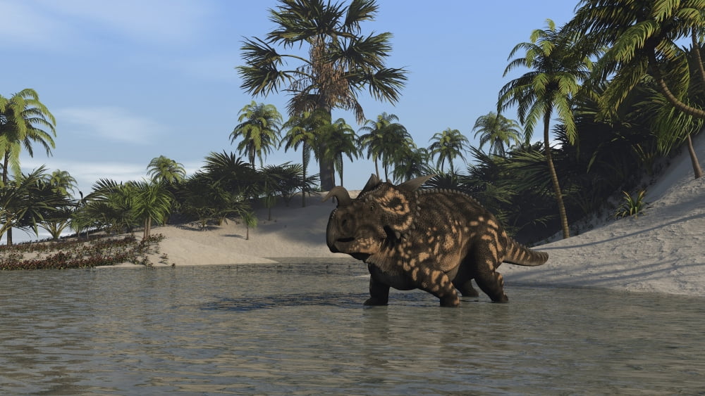 Brown Einiosaurus in shallow water Canvas Art - Kostyantyn IvanyshenStocktrek Images (38 x 22)