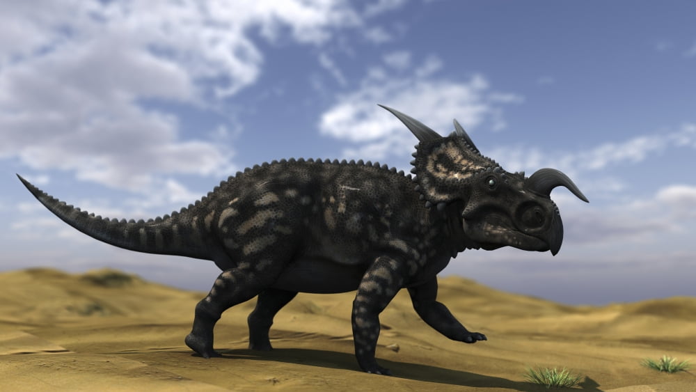 Brown Einiosaurus walking across a barren landscape Canvas Art - Kostyantyn IvanyshenStocktrek Images (19 x 11)