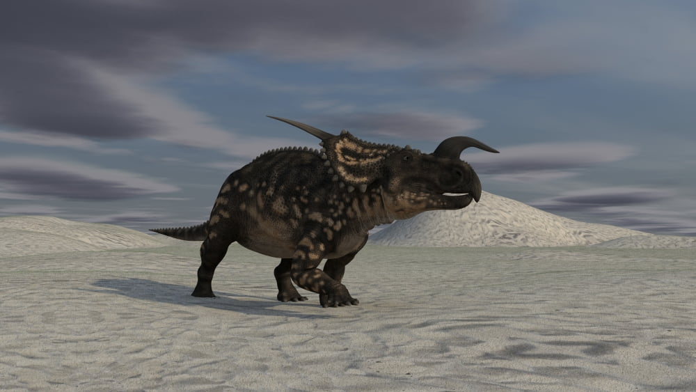 Brown Einiosaurus walking across a barren landscape Canvas Art - Kostyantyn IvanyshenStocktrek Images (19 x 11)
