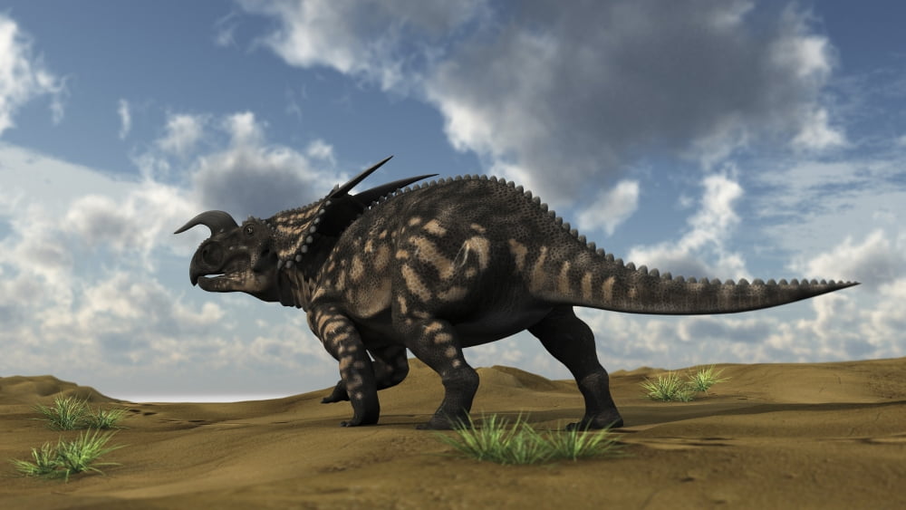 Brown Einiosaurus walking across a barren landscape Canvas Art - Kostyantyn IvanyshenStocktrek Images (19 x 11)