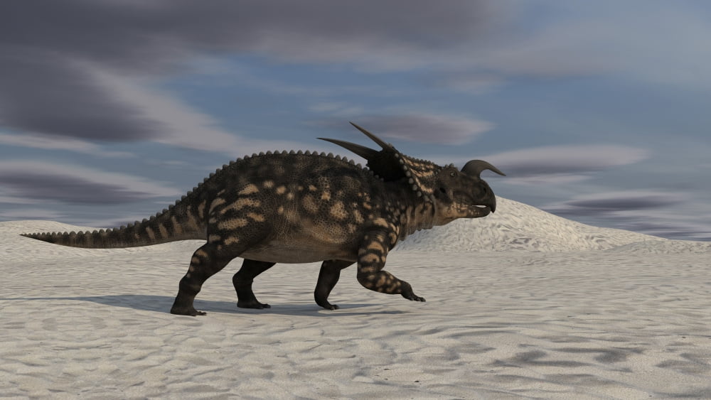 Brown Einiosaurus walking across a desert landscape Canvas Art - Kostyantyn IvanyshenStocktrek Images (19 x 11)