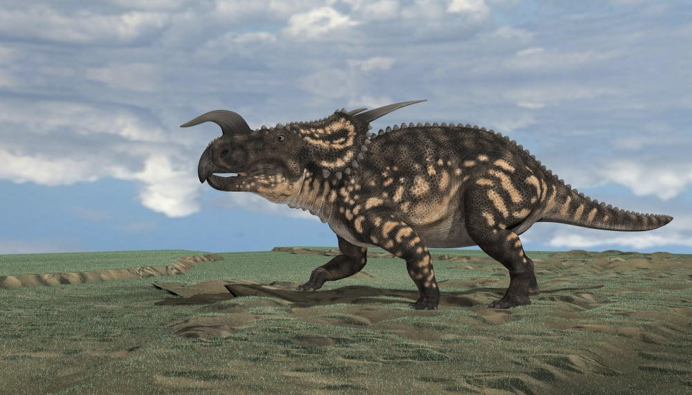 Brown Einiosaurus walking across an open field Canvas Art - Kostyantyn IvanyshenStocktrek Images (19 x 11)