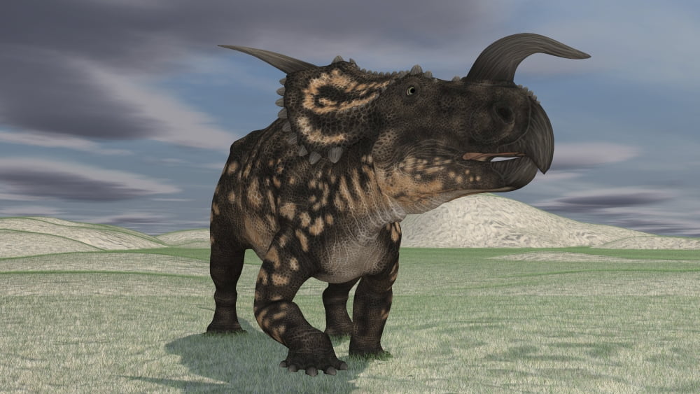 Brown Einiosaurus walking across an open field Canvas Art - Kostyantyn IvanyshenStocktrek Images (38 x 22)