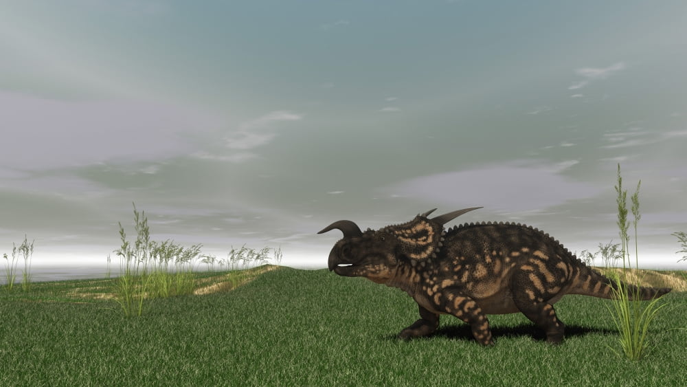 Brown Einiosaurus walking across prehistoric grasslands Canvas Art - Kostyantyn IvanyshenStocktrek Images (19 x 11)