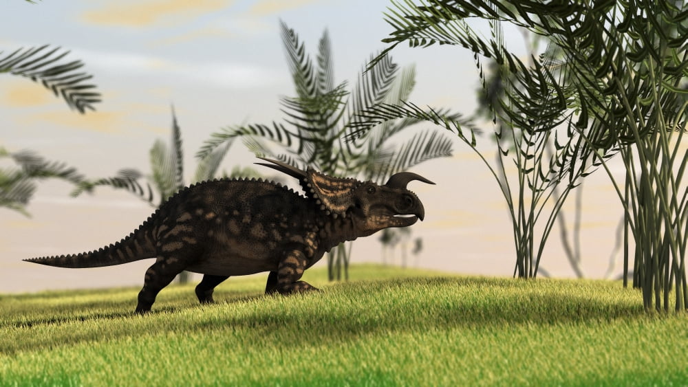 Brown Einiosaurus walking in a field Canvas Art - Kostyantyn IvanyshenStocktrek Images (19 x 11)