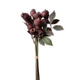 thumbnail image 1 of Brown Eucalyptus Seed Pods with Stems for Vase, Artificial Dried Branch Decor for Living Room Coffee Table Mantle, Farmhouse Centerpiece Decor Set, 3 Piece, 1 of 4
