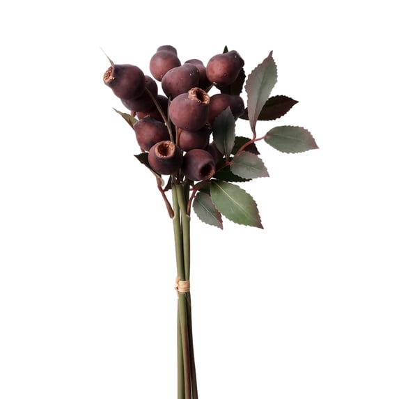 Brown Eucalyptus Seed Pods with Stems for Vase, Artificial Dried Branch Decor for Living Room Coffee Table Mantle, Farmhouse Centerpiece Decor Set, 3 Piece
