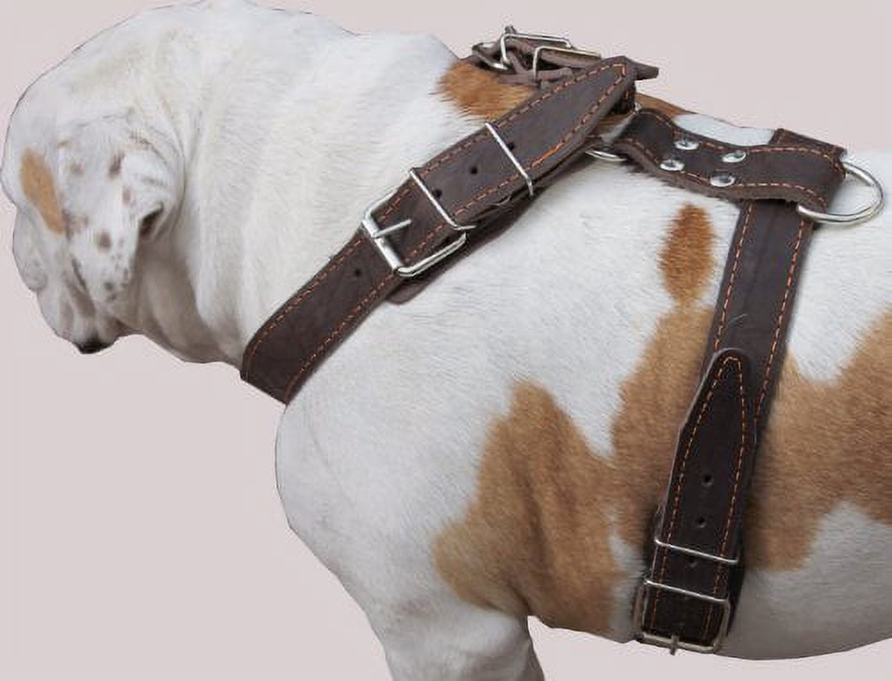 Brown Genuine Leather Dog Harness, Large. 35"-40" Chest, 1.5"Wide Straps Mastiff Great Dane